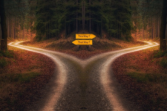 decision-g201ebe6ad_640
