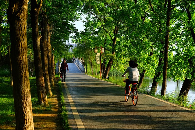 the-scenery-gb69406fb5_640