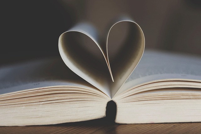 book-gff5463ecc_640
