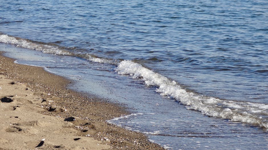 pexels-photo-34123681