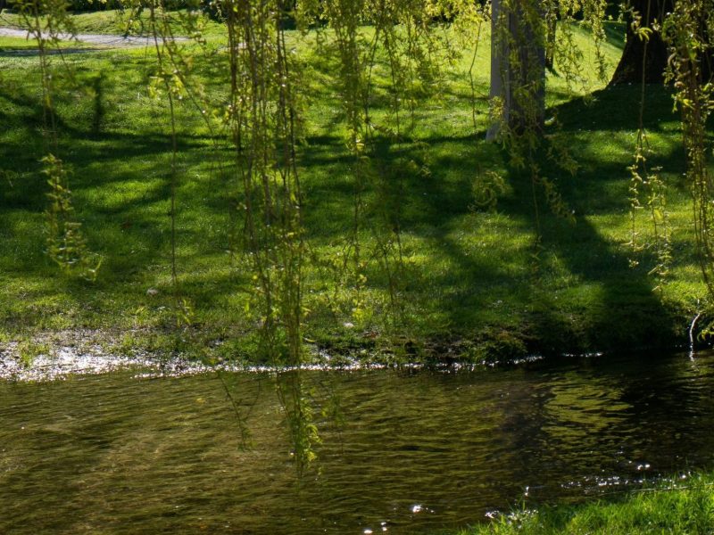 afb2a006e50f2245f392ae71a3a53120